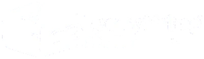 Everything Clean